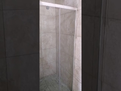 5mm Clear Glass Pivot Shower Door